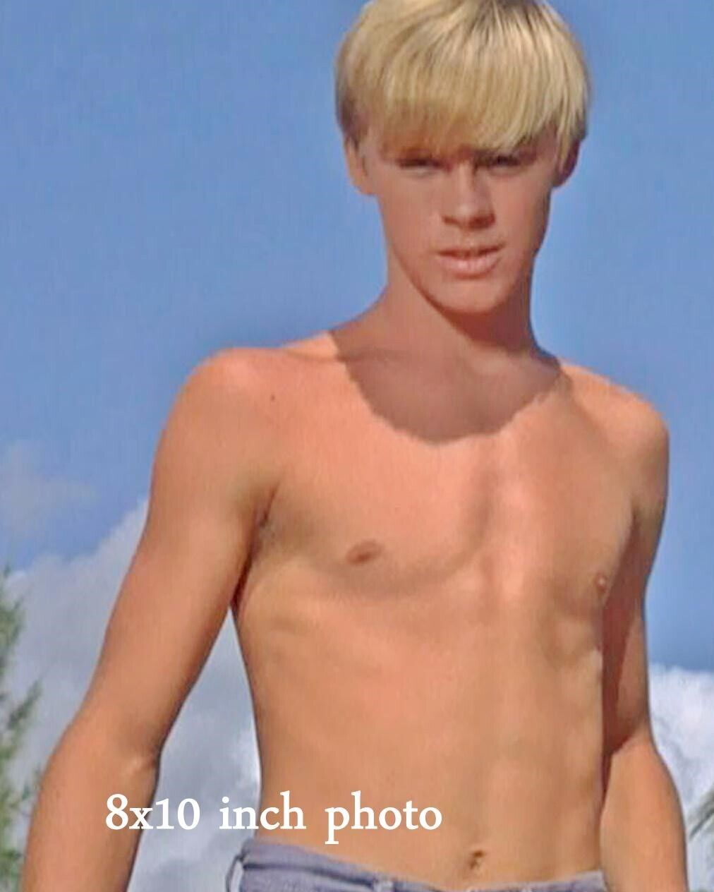 LUKE HALPIN color torso Screen Capture Shirtless beefcake Celebrity photo (187)
