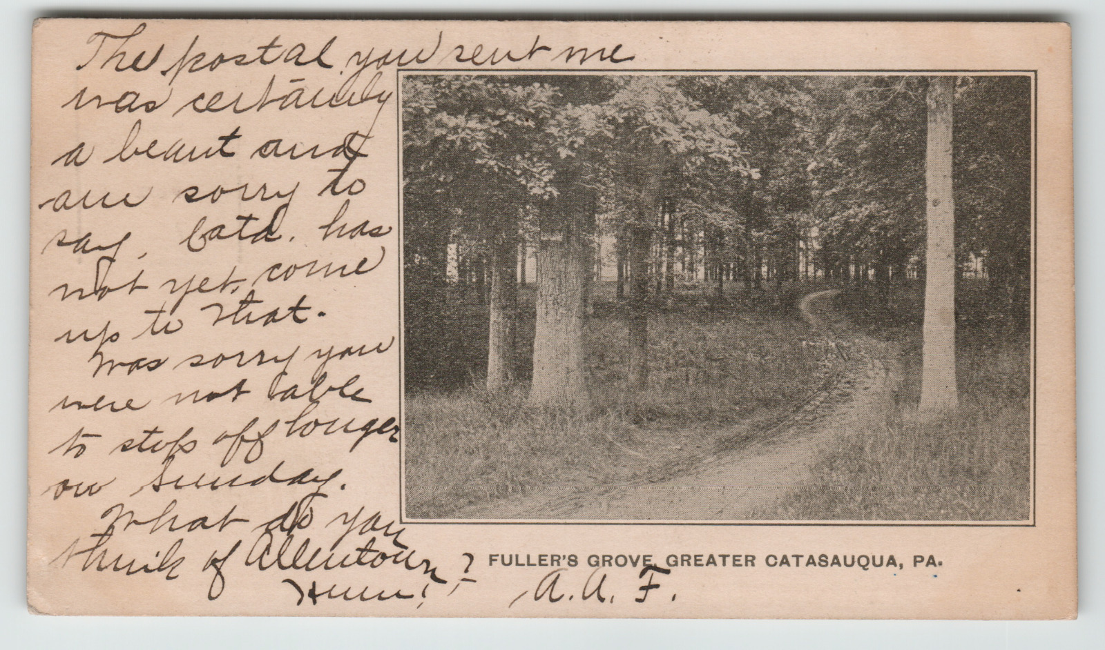 Postcard 1905 Fuller's Grove in Greater Catasauqua, PA