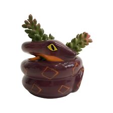 Hyde And Eek Ghoulish Garden Snake Halloween Creepy Succulent NEW picture