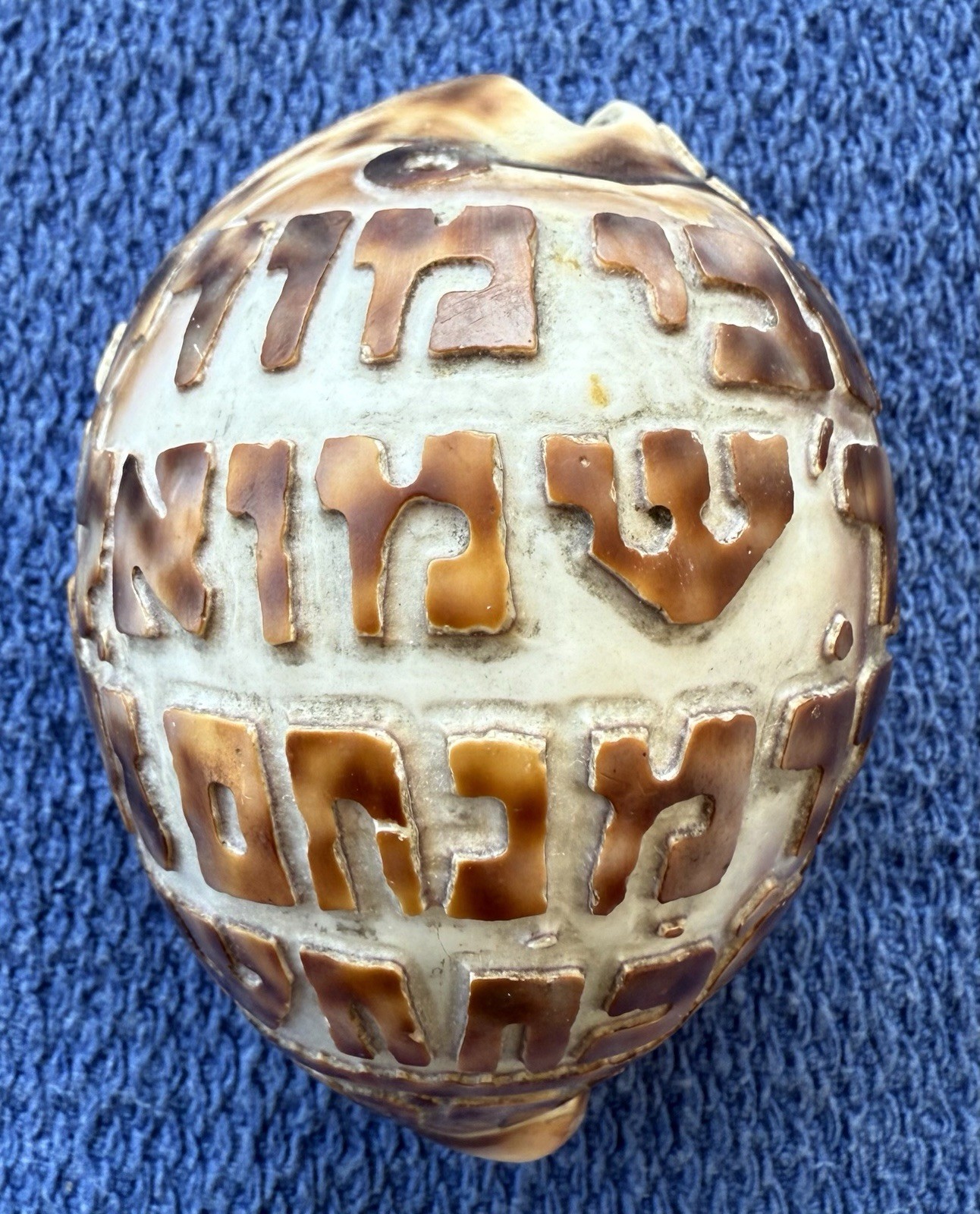 Antique 1911 Jewish Cowrie Shell Rabbi Samuel Son of Menachem -- Jacob Berkovitz