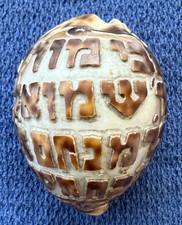 Antique 1911 Jewish Cowrie Shell Rabbi Samuel Son of Menachem -- Jacob Berkovitz picture