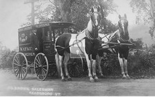 C B Brown Salesman Watkins Remedies Horses Readsboro Vermont VT - 11x17 Reprint picture