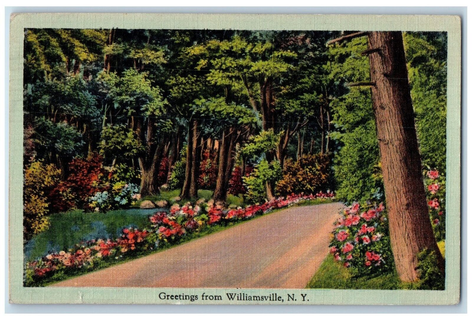 1942 Greetings From Williamsville New York NY, Scenic View Vintage Postcard