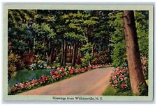1942 Greetings From Williamsville New York NY, Scenic View Vintage Postcard picture