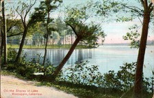 Lowell MA - Shores of Lake Mascuppic, Lakeview - Antique Postcard - circa 1908 picture