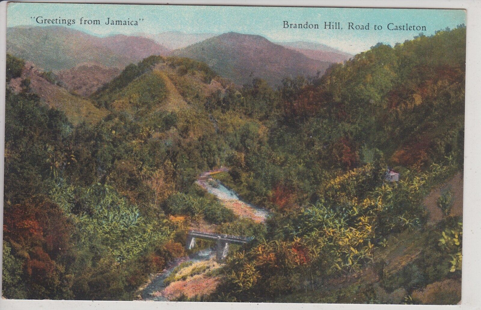 Brandon Hill, Jamaica. Road to Castleton.  Antique Postcard.
