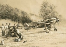 Breaking Cover by Robert Taylor signed by WWII Luftwaffe Fw190 Pilots picture
