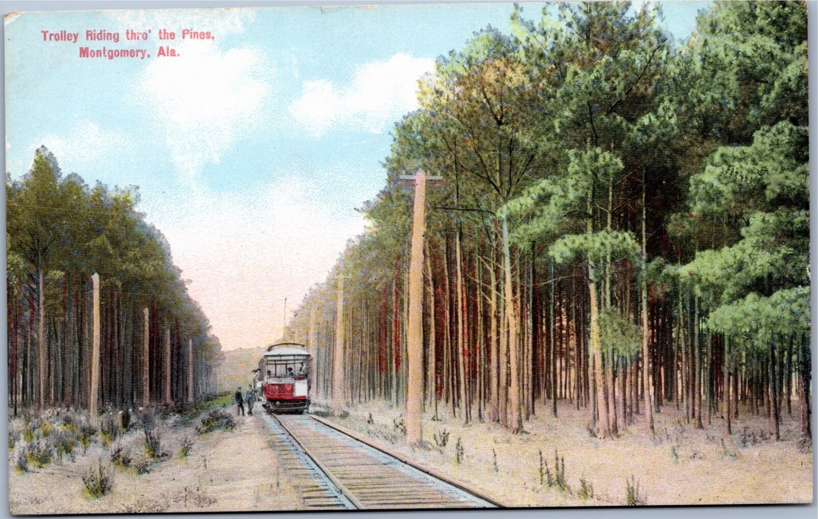 postcard Trolley Riding through the Pines, Montgomery, Alabama