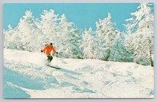 Skier on High Road Glen Ellen Ski Area Waitsfield Vermont 1940s Postcard Skiing picture