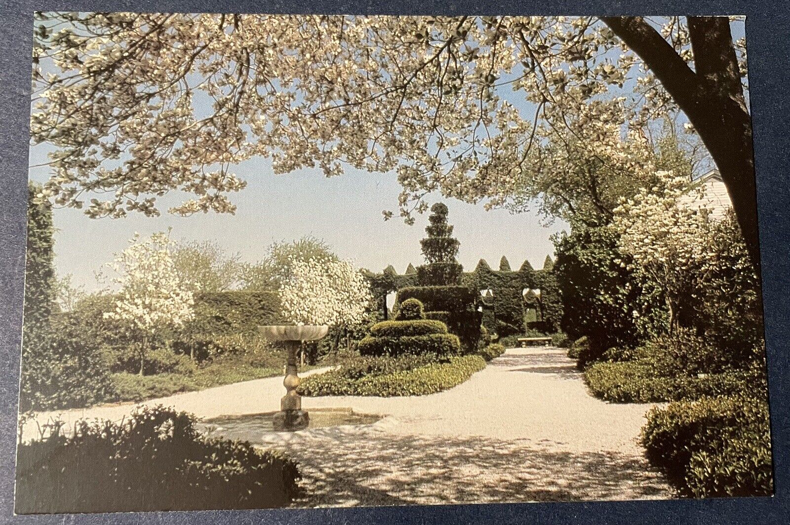 Vintage Postcard Ladew Topiary Gardens And Manor House Monkton MD Berry Garden