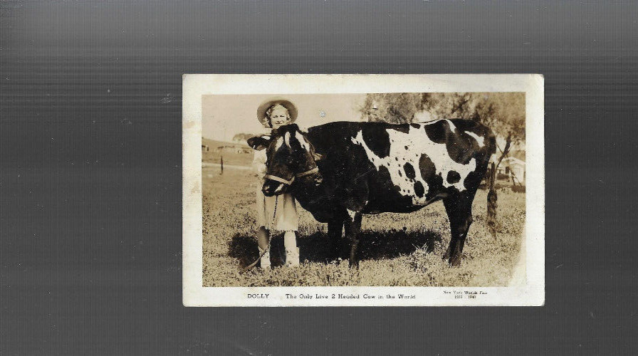 OLD TRADECARD rp ONLY LIVE 2  HEADED COW WORLD  NY WORLD FAIR National City CA
