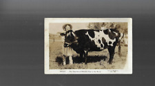 OLD TRADECARD rp ONLY LIVE 2  HEADED COW WORLD  NY WORLD FAIR National City CA picture