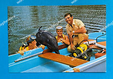 TV Show Flipper Brian Kelly Luke Halpin Tommy Norden and Flipper Germany 1974 picture