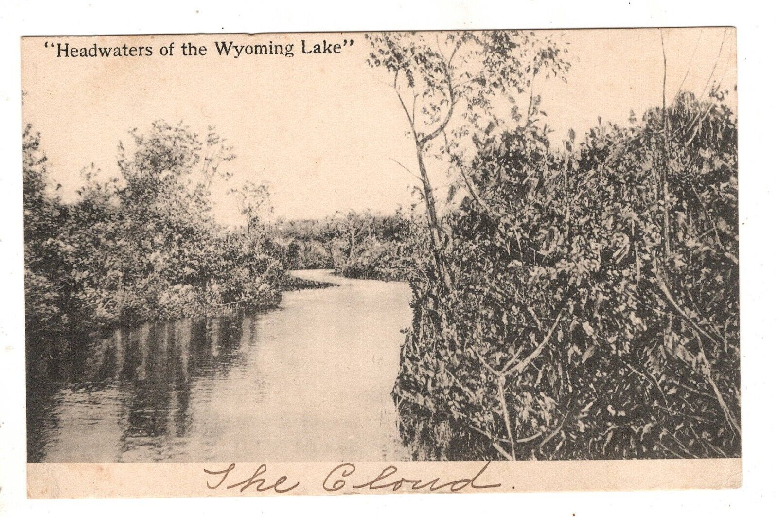 Windsor NY Headwaters of the Wyoming Lake 1910 Vintage Postcard