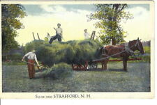 CO-461 NH Strafford Scene Near White Border Postcard Haying Wagon Horse Men picture