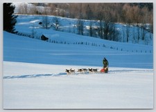 Craftsbury Outdoor Center Dog Sledding Snowy Craftsbury Common Vermont Postcard picture