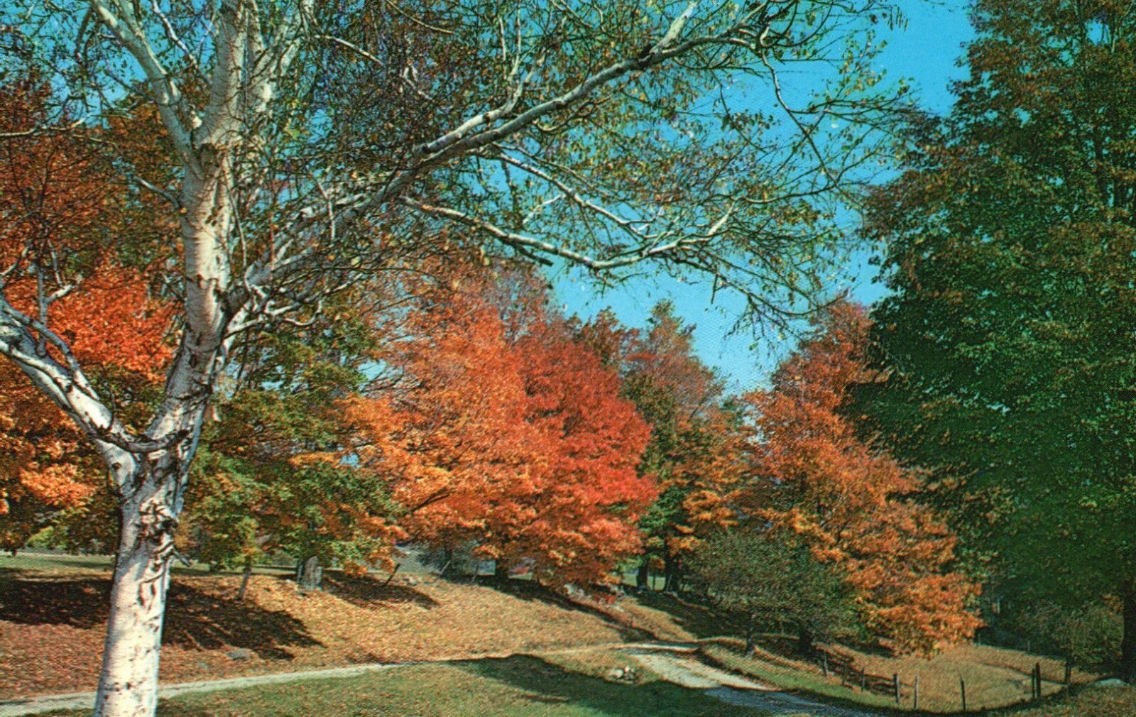 Postcard VT Tinmouth Rutland County Fall on Route 140 Chrome Vintage PC b1257 Postcard VT Tinmouth Rutland County Fall on Route 140 Chrome Vintage PC b1257