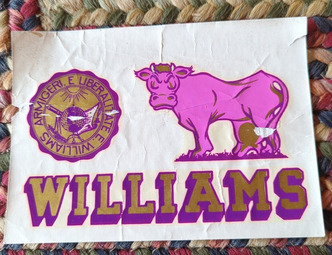 Vintage Williams College Williamstown Massachusetts Transfer Decal