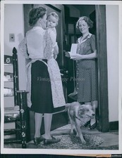 1943 Collie Mickey Blocks Door Sells War Bonds Mrs Floyd Braley Wwii Photo 7x9 picture