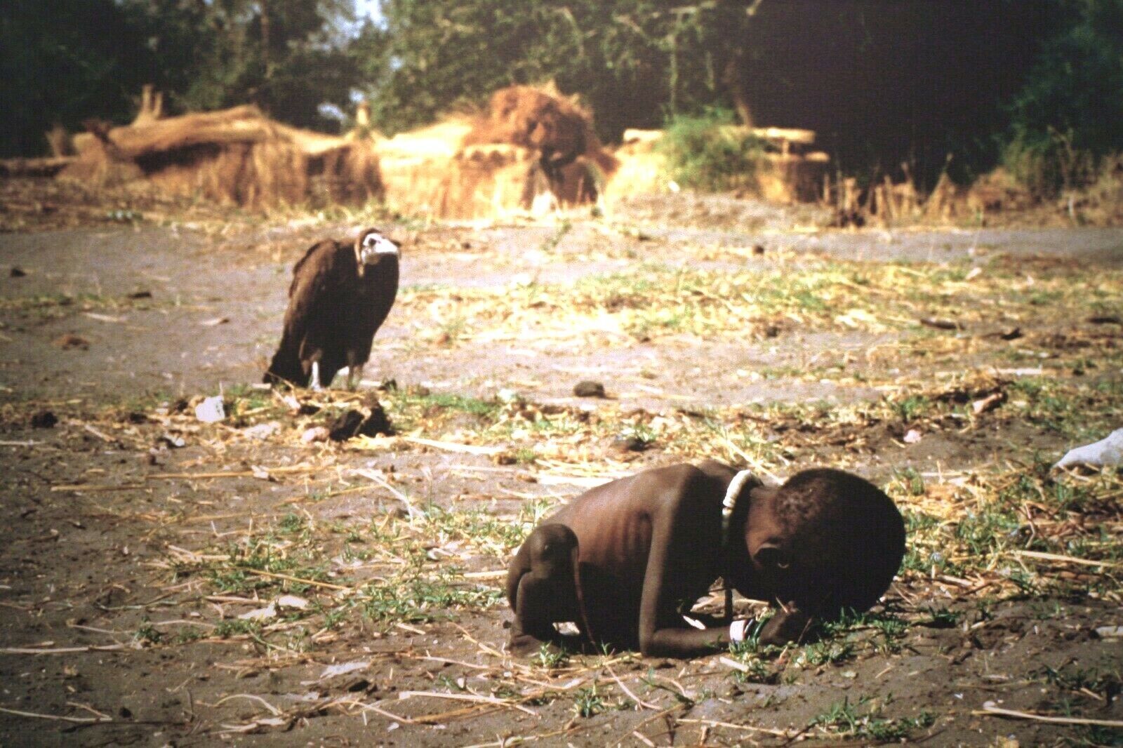 Sudan Famine-Helpless Starving Child-East Africa Famine-Pulitzer Prize Photo