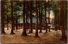Lunenburg,, Massachusetts - Theatre At Whalom Park Postcard picture