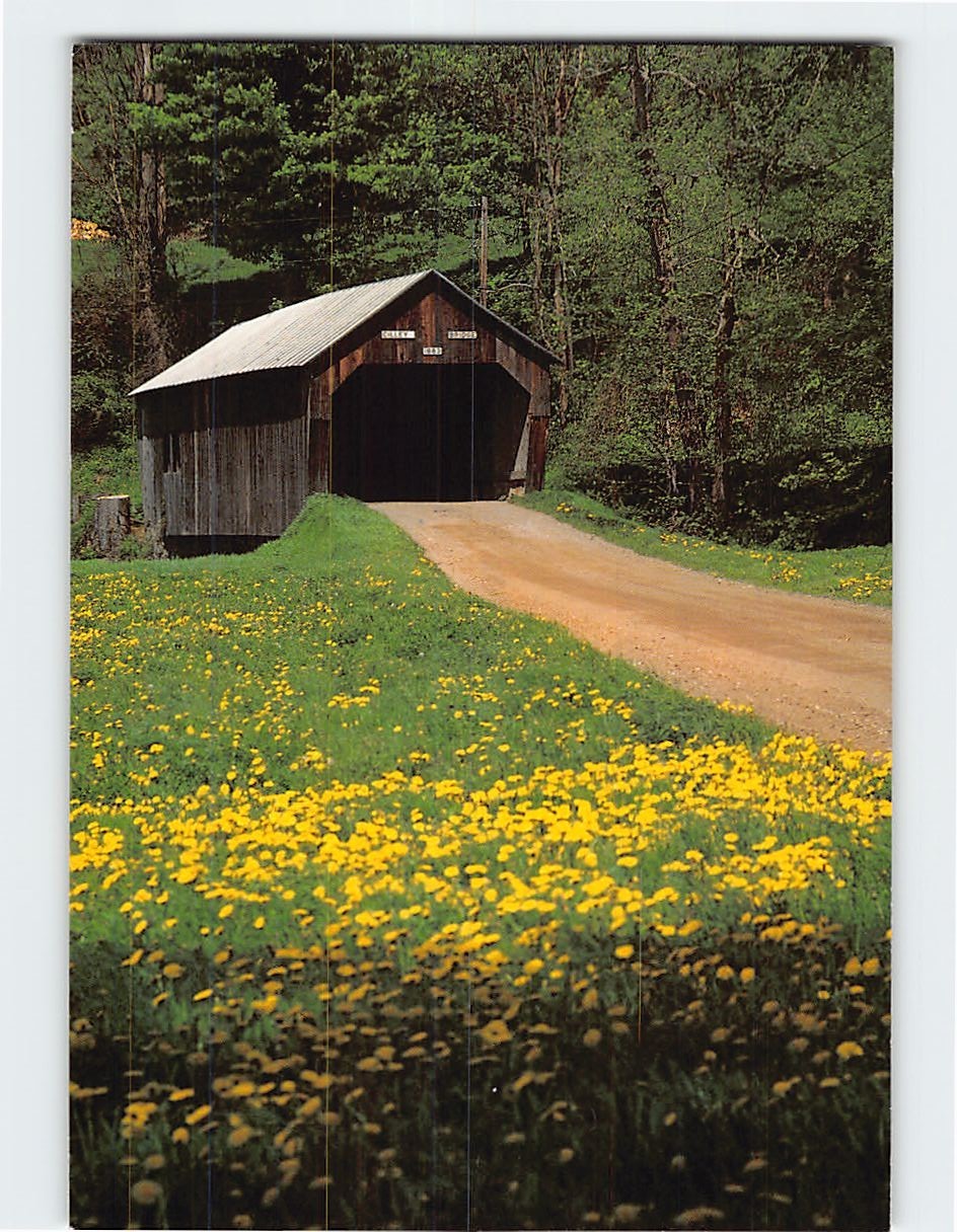 Postcard Cilley Bridge Tunbridge Vermont USA