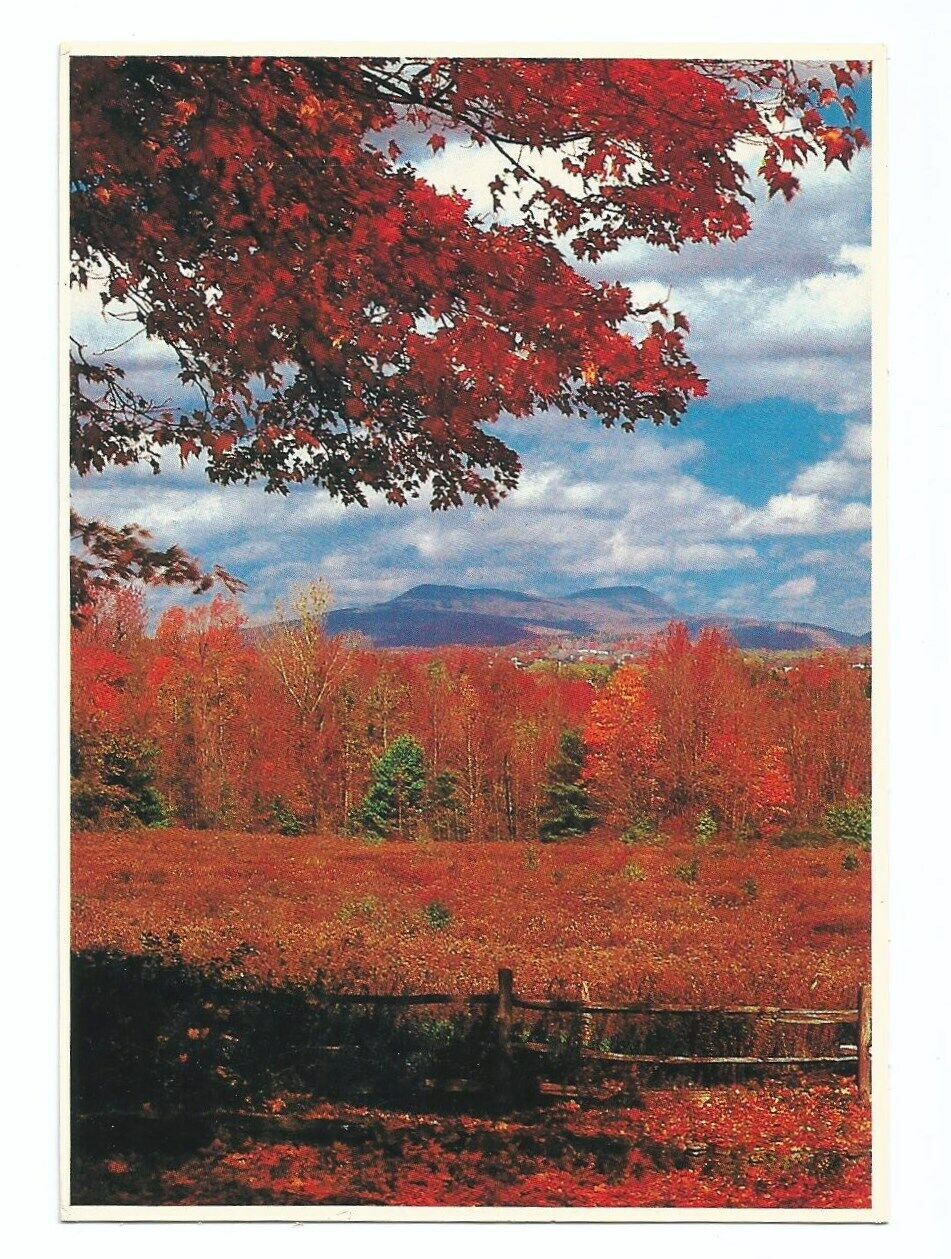 Pittsfield MA Postcard Mount Greylock Massachusetts Autumn