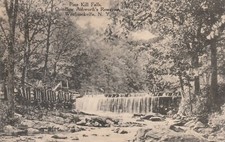 1920 , Westbrookville, NY., Pine Kill Falls, Overflow Ashworth's Reservoir, 1376 picture