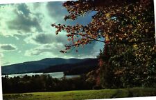 Vintage Postcard - Lake Fairlee Water Trees Autumn Colors Vermont VT #12928 picture
