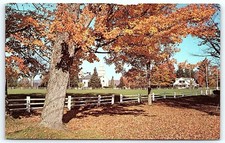 Craftsbury Common VT Autumn Church Scene Postcard c1970s picture