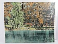 VTG Original Photograph By C W Chamberlin Cleveland OH Autumn Scene Ducks A7728 picture