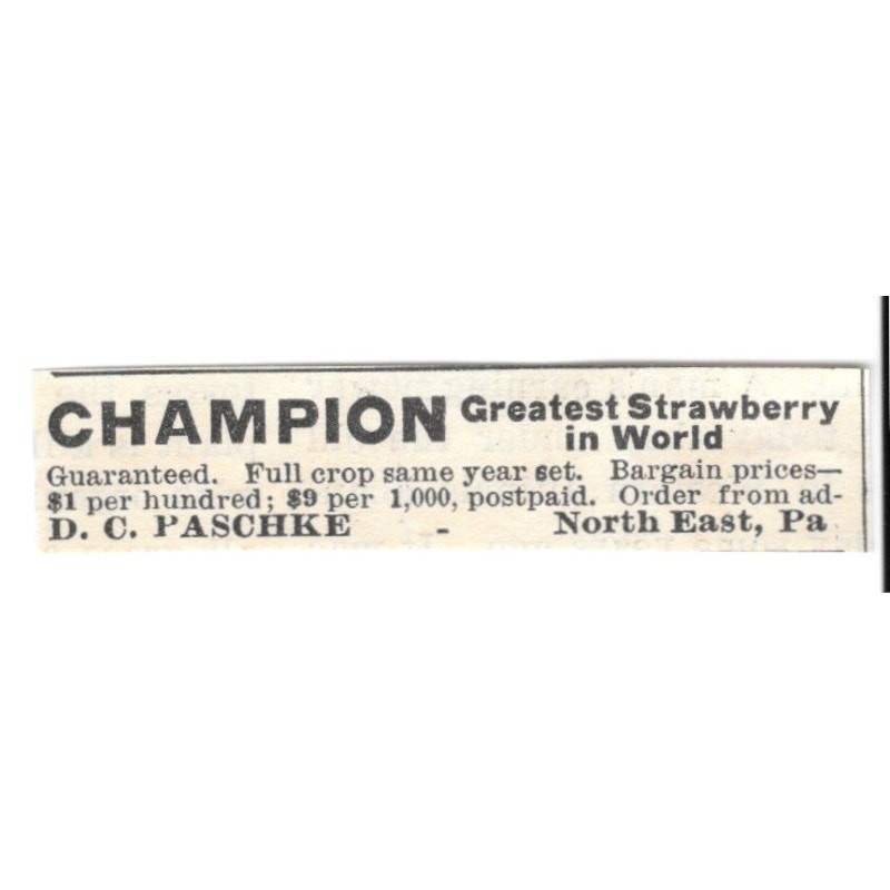 George B Fulton Pure Maple Syrup Irasburg Vermont 1924 Ad AG3-S7 George B Fulton Pure Maple Syrup Irasburg Vermont 1924 Ad AG3-S7