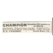 George B Fulton Pure Maple Syrup Irasburg Vermont 1924 Ad AG3-S7 picture