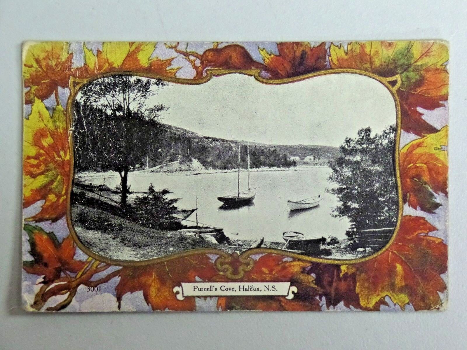 Purcell\'s Cove, Halifax, N.S. Canada DB Postcard 1906 Post Leaf Border 3336