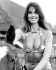 ACTRESS CAROLINE MUNRO PIN UP - 8X10 PUBLICITY PHOTO (SP126) picture