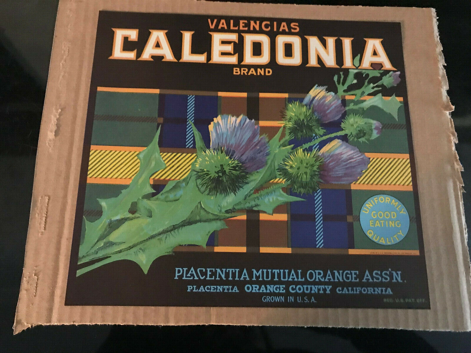 3 - Grapefruit Crate Label Valencias Caledonia Brand Orange County CA Art Print