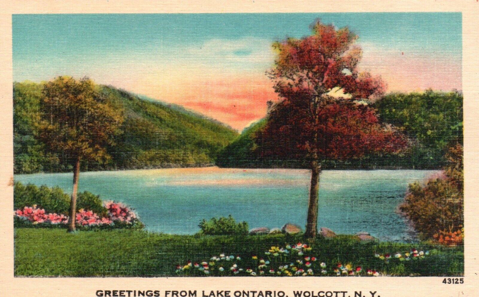 Greetings from Lake Ontario, Wolcott, New York, NY, Linen Vintage Postcard b4505