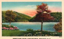 Greetings from Lake Ontario, Wolcott, New York, NY, Linen Vintage Postcard b4505 picture