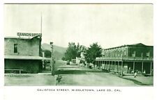 1910s CALISTOGA STREET MIDDLETON CA LAKE CO. HOUSE,GANNON BROS.~UNUSED POSTCARD picture
