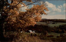 Vermont Craftsbury Brushed in Gold autumn view ~ postcard  sku285 picture