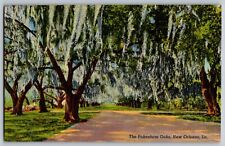 New Orleans, Louisiana LA - View Of Pakenham Oaks Trees - Vintage Postcard picture