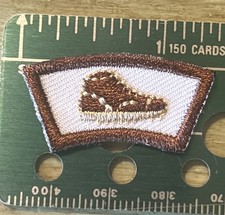 Camp Horseshoe Summer Segment Patch Morning Fitness Chester County Council PA MD picture