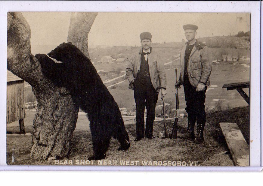 Real Photo Postcard RPPC - Hunting Two Hunters Bear Shot near West Wardsboro VT