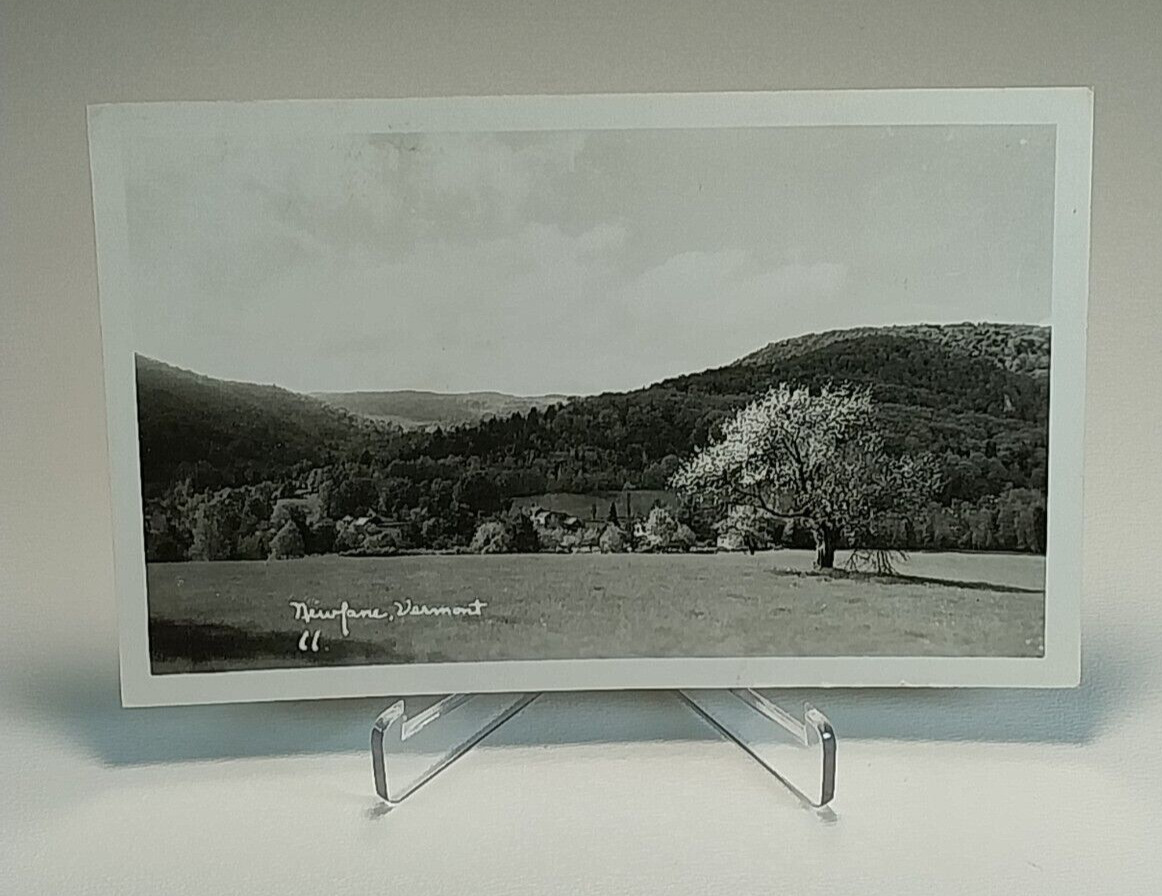 View of the Hills Overlooking Newfane VT Vintage Postcard RPPC