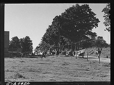 Hinesburg,Vermont,VT,Chittenden County,Farm Security Administration,1941,FSA,6 picture