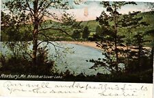 Vintage Postcard  - Roxbury Maine Beach At Silver Lake ME Posted 1907 #1195 picture