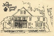 Newfane Country Store Newfane Vermont Vintage Advertising Postcard Unposted picture