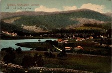 1907 Sadawga Whitingham Vermont Lake Mountain Village Germany Antique Postcard picture