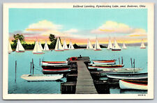 Vintage Postcard OH Andover Sailboat Landing Pymatuning Lake -1833 picture