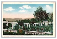 Pittsfield MA Massachusetts Salisbury Garden Unposted White Border Postcard picture